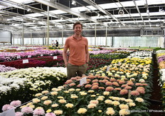 Bob Persoon achter Coutoure, een nieuwe chrysant met een Vintage kleur die goed in de smaakt valt bij designers. Deze zal in (ongeveer) week 45 door Arcadia geïntroduceerd worden.